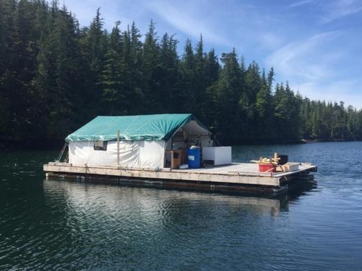 Six Mile River Resort Tagish Екстериор снимка